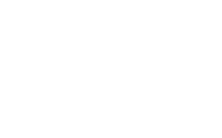 Shiro -white flowe shop-